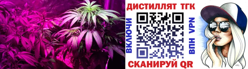 KRAKEN ТОР  Пенза  ТГК концентрат 