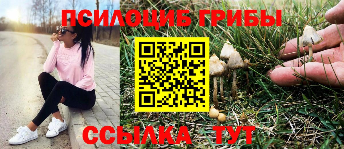 Псилоцибиновые грибы ЛСД Пенза